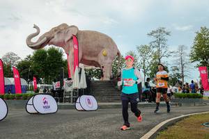 BIB: 
                            <button type="button" onclick="openModal(26529012)" class="btn btn-primary btn-sm float-right btn-popup" data-toggle="modal" data-target=".modal-high-quality">
                        <i class="fas fa-shopping-cart"></i> Add to Cart
                    </button>
                                            <button type="button" onclick="isThisMe(26529012, true)" class="btn btn-success btn-sm float-right btn-popup btn-isme hidden" data-toggle="tooltip" data-placement="bottom" title="นี่คือรูปของคุณใช่ไหม คลิกที่นี่เพื่อเอาเข้าอัลบั้ม">
                        <i class="fas fa-plus"></i> Add to album
                    </button>
                    <button type="button" onclick="isThisMe(26529012, false)" class="btn btn-warning btn-sm float-right btn-popup btn-isnotme hidden">
                        <i class="fas fa-ban"></i> Remove from album
                    </button>